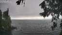 ./images/koeye/fitz-hugh/20260816/fitz-hugh20260816_174001M.jpg