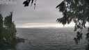 ./images/koeye/fitz-hugh/20260816/fitz-hugh20260816_175501M.jpg