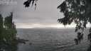 ./images/koeye/fitz-hugh/20260816/fitz-hugh20260816_180501M.jpg