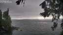 ./images/koeye/fitz-hugh/20260816/fitz-hugh20260816_181002M.jpg