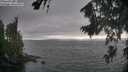 ./images/koeye/fitz-hugh/20260816/fitz-hugh20260816_182501M.jpg