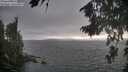 ./images/koeye/fitz-hugh/20260816/fitz-hugh20260816_184001M.jpg