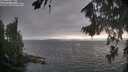 ./images/koeye/fitz-hugh/20260816/fitz-hugh20260816_185002M.jpg