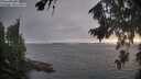 ./images/koeye/fitz-hugh/20260816/fitz-hugh20260816_193501M.jpg