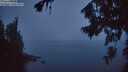 ./images/koeye/fitz-hugh/20260817/fitz-hugh20260817_055001M.jpg