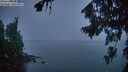 ./images/koeye/fitz-hugh/20260817/fitz-hugh20260817_060001M.jpg