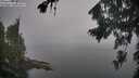 ./images/koeye/fitz-hugh/20260817/fitz-hugh20260817_065002M.jpg