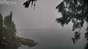 ./images/koeye/fitz-hugh/20260817/fitz-hugh20260817_084002M.jpg