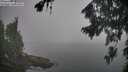 ./images/koeye/fitz-hugh/20260817/fitz-hugh20260817_084501M.jpg