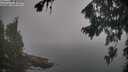 ./images/koeye/fitz-hugh/20260817/fitz-hugh20260817_085001M.jpg