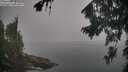 ./images/koeye/fitz-hugh/20260817/fitz-hugh20260817_091502M.jpg