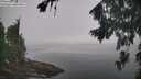 ./images/koeye/fitz-hugh/20260817/fitz-hugh20260817_094501M.jpg