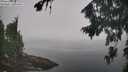 ./images/koeye/fitz-hugh/20260817/fitz-hugh20260817_095001M.jpg