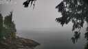 ./images/koeye/fitz-hugh/20260817/fitz-hugh20260817_104502M.jpg
