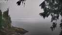 ./images/koeye/fitz-hugh/20260817/fitz-hugh20260817_105501M.jpg