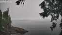 ./images/koeye/fitz-hugh/20260817/fitz-hugh20260817_112501M.jpg