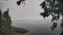 ./images/koeye/fitz-hugh/20260817/fitz-hugh20260817_113001M.jpg