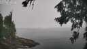./images/koeye/fitz-hugh/20260817/fitz-hugh20260817_113501M.jpg