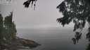 ./images/koeye/fitz-hugh/20260817/fitz-hugh20260817_115001M.jpg