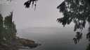 ./images/koeye/fitz-hugh/20260817/fitz-hugh20260817_115502M.jpg