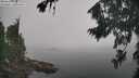 ./images/koeye/fitz-hugh/20260817/fitz-hugh20260817_123001M.jpg