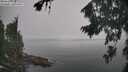 ./images/koeye/fitz-hugh/20260817/fitz-hugh20260817_130001M.jpg