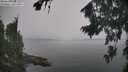 ./images/koeye/fitz-hugh/20260817/fitz-hugh20260817_131502M.jpg