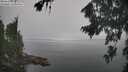 ./images/koeye/fitz-hugh/20260817/fitz-hugh20260817_133001M.jpg