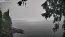 ./images/koeye/fitz-hugh/20260817/fitz-hugh20260817_133501M.jpg