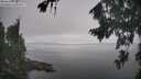 ./images/koeye/fitz-hugh/20260817/fitz-hugh20260817_134002M.jpg