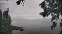 ./images/koeye/fitz-hugh/20260817/fitz-hugh20260817_135001M.jpg