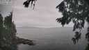 ./images/koeye/fitz-hugh/20260817/fitz-hugh20260817_135501M.jpg
