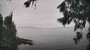./images/koeye/fitz-hugh/20260817/fitz-hugh20260817_140001M.jpg