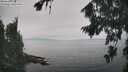 ./images/koeye/fitz-hugh/20260817/fitz-hugh20260817_140502M.jpg