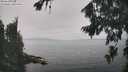 ./images/koeye/fitz-hugh/20260817/fitz-hugh20260817_141002M.jpg