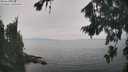 ./images/koeye/fitz-hugh/20260817/fitz-hugh20260817_141501M.jpg