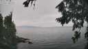 ./images/koeye/fitz-hugh/20260817/fitz-hugh20260817_142501M.jpg
