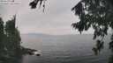 ./images/koeye/fitz-hugh/20260817/fitz-hugh20260817_143001M.jpg