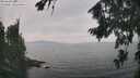 ./images/koeye/fitz-hugh/20260817/fitz-hugh20260817_143501M.jpg
