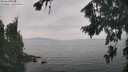 ./images/koeye/fitz-hugh/20260817/fitz-hugh20260817_144001M.jpg