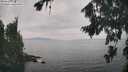 ./images/koeye/fitz-hugh/20260817/fitz-hugh20260817_144501M.jpg