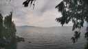 ./images/koeye/fitz-hugh/20260817/fitz-hugh20260817_152501M.jpg
