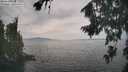 ./images/koeye/fitz-hugh/20260817/fitz-hugh20260817_153501M.jpg