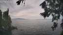 ./images/koeye/fitz-hugh/20260817/fitz-hugh20260817_154001M.jpg