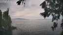 ./images/koeye/fitz-hugh/20260817/fitz-hugh20260817_154501M.jpg