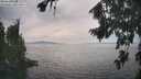 ./images/koeye/fitz-hugh/20260817/fitz-hugh20260817_155001M.jpg