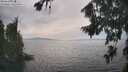 ./images/koeye/fitz-hugh/20260817/fitz-hugh20260817_155501M.jpg