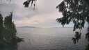 ./images/koeye/fitz-hugh/20260817/fitz-hugh20260817_160001M.jpg