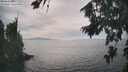 ./images/koeye/fitz-hugh/20260817/fitz-hugh20260817_161001M.jpg