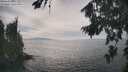 ./images/koeye/fitz-hugh/20260817/fitz-hugh20260817_161501M.jpg